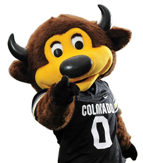CU Boulder mascot Chip